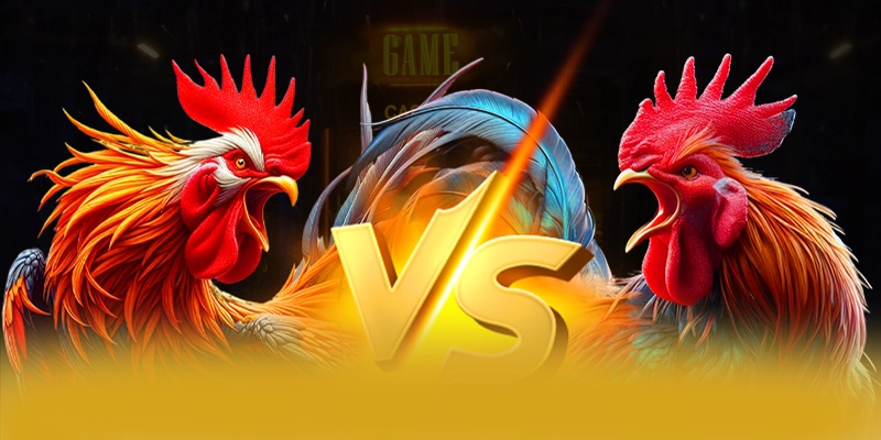 Ưu đãi hấp dẫn dành cho cộng đồng tại 8XBET