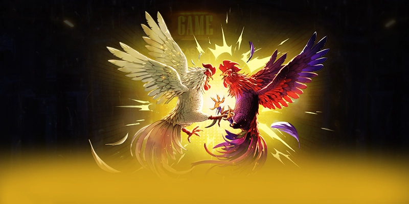 Hệ thống giao dịch đa dạng tại 8XBET